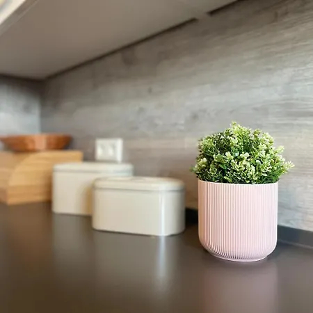 Rooftop - Fuer 4 Personen Mit Parkplatz Und 2 Balkone