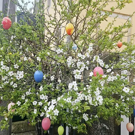 Modernes Apartment Rooftop in Dresden - mit Parkplatz und 2 Balkone! Dresden