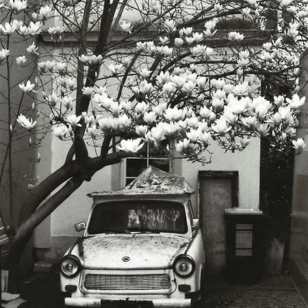 Appartamento Rooftop - Fuer 4 Personen Mit Parkplatz Und 2 Balkone