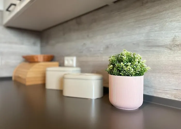 Modernes Rooftop In - Mit Parkplatz Und 2 Balkone!