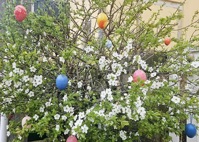 Dresden Rooftop Apartment Mit 2 Balkone, Stellplatz, Top Anbindung Δρέσδη